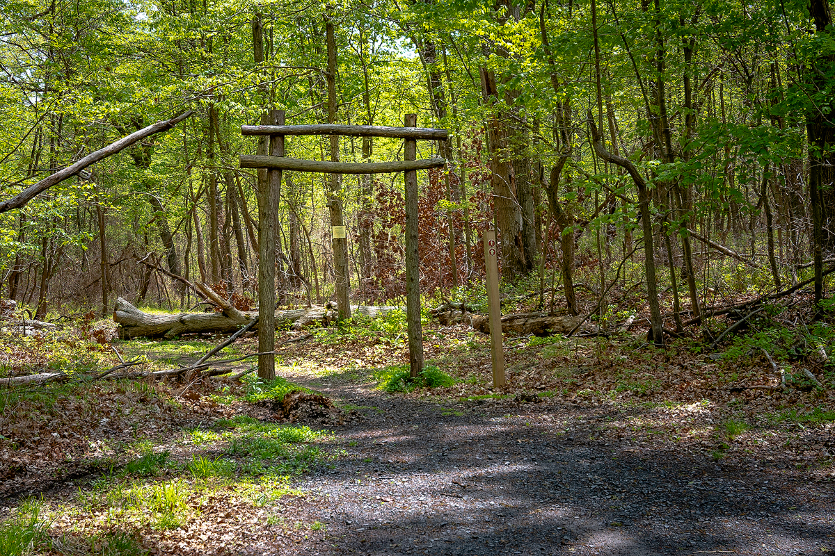 hiking trail