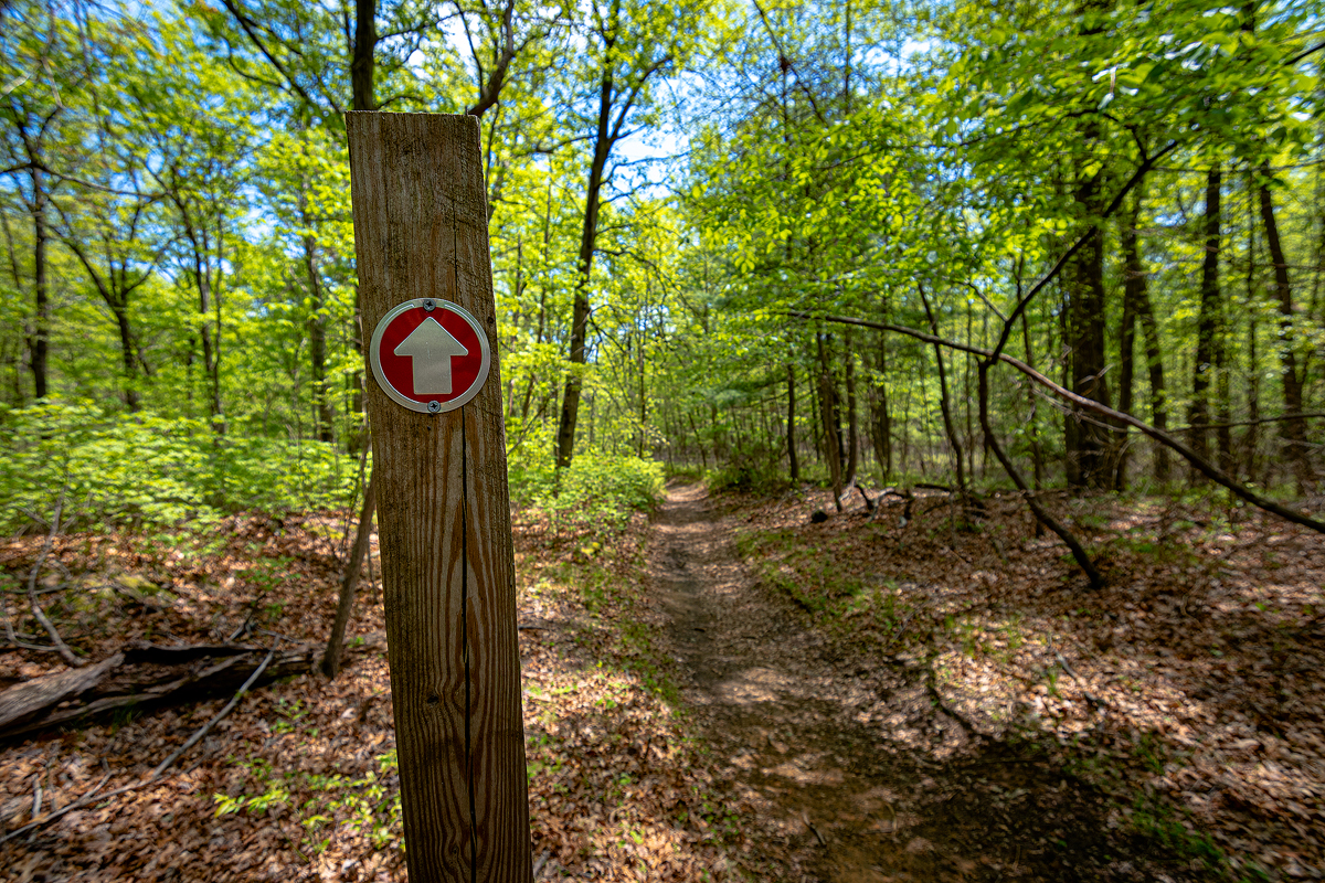 sign post and dirt road