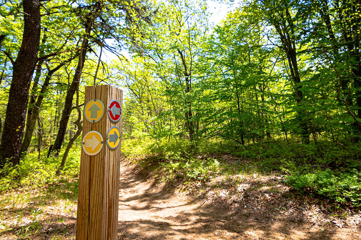 sign post