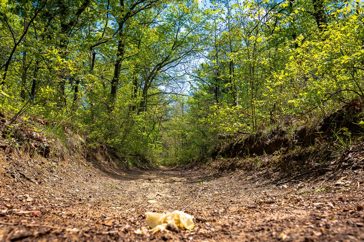 dirt road path