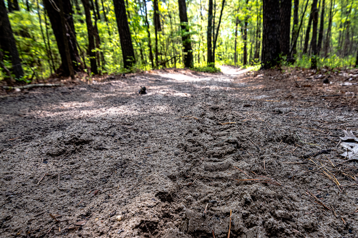 dirt road