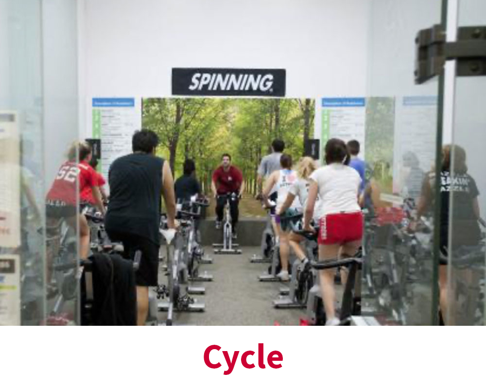 People Cycling, Cycle